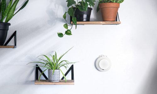 tellus-air-u-wall-plants tellus-air-u-wall-plants